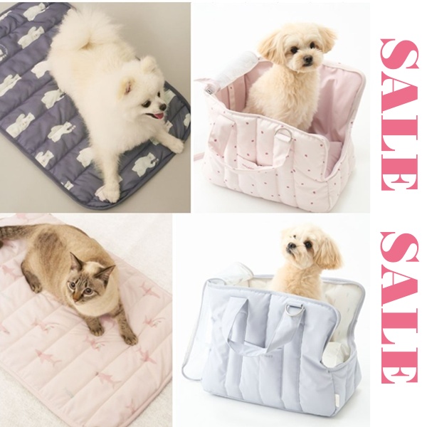 gelato pique(ジェラート ピケ)のニュース | 【GELATO PIQUE CAT&DOG 】＼2025夏SALE／定番アイテムもセール中！