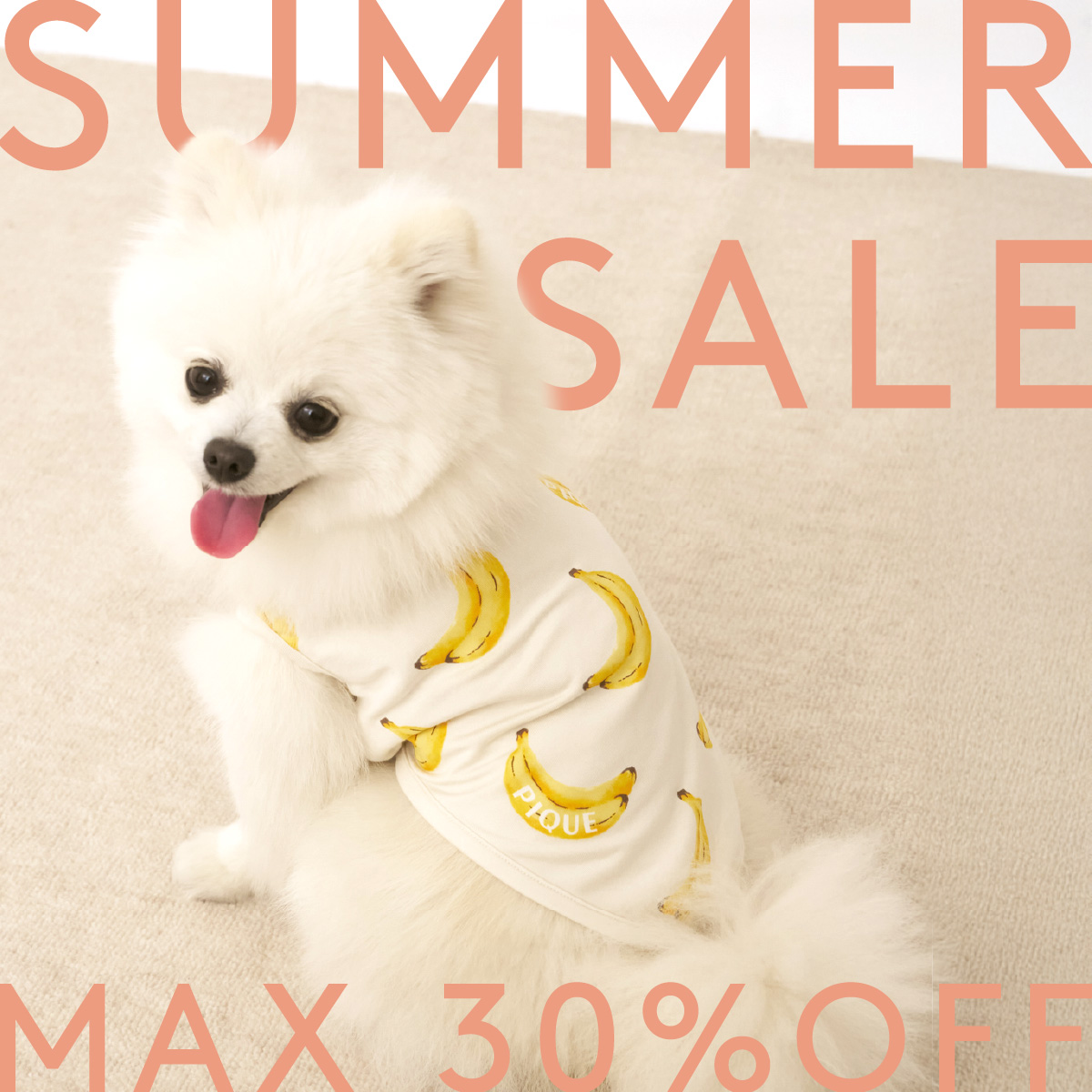gelato pique(ジェラート ピケ)のニュース | ＼SUMMER SALE スタート！／【CAT＆DOG】おすすめセールアイテム