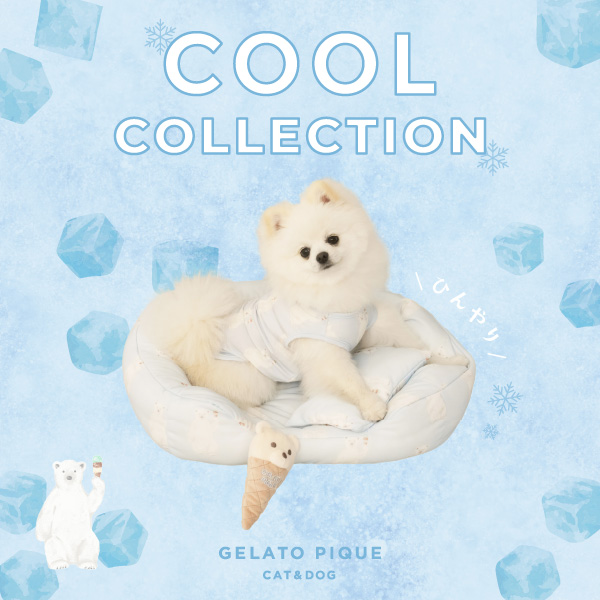 gelato pique(ジェラート ピケ)のニュース | 【GELATO PIQUE CAT&DOG】CAT&DOG COOL COLLECTION