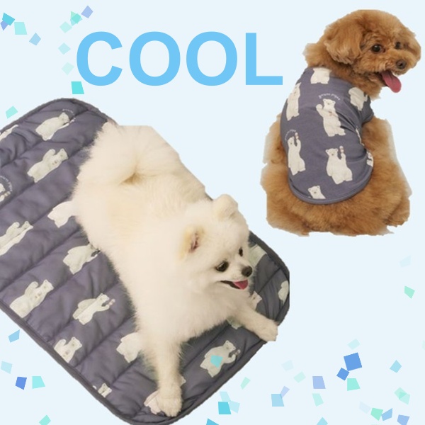 gelato pique(ジェラート ピケ)のニュース | 【CAT&DOG】接触冷感　COOLアイテムをピックアップ！