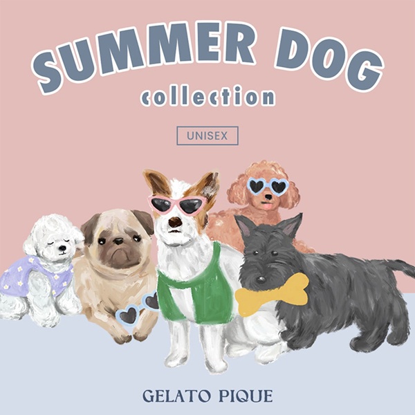gelato pique(ジェラート ピケ)のニュース | 【本日発売】SUMMER DOG collection 