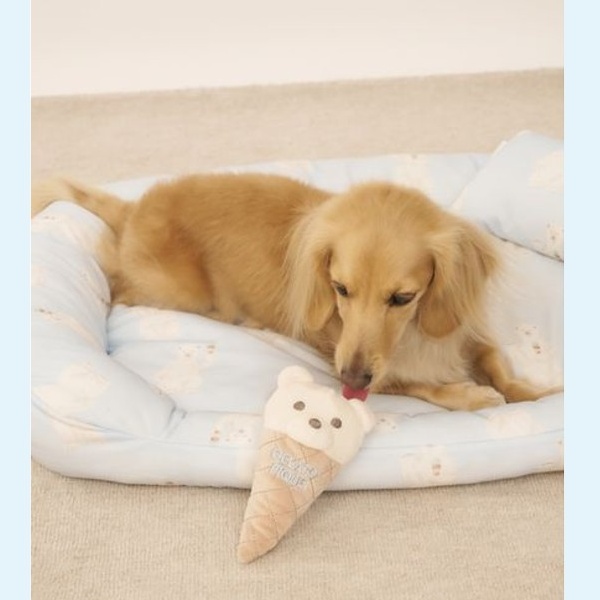 gelato pique(ジェラート ピケ)のニュース | 【GELATO PIQUE CAT&DOG】CAT&DOG COOL COLLECTION