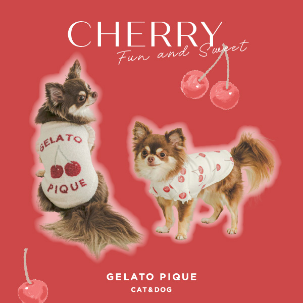 gelato pique(ジェラート ピケ)のニュース | 【GELATO PIQUE CAT&DOG 】CHERRY  Fun and Sweet