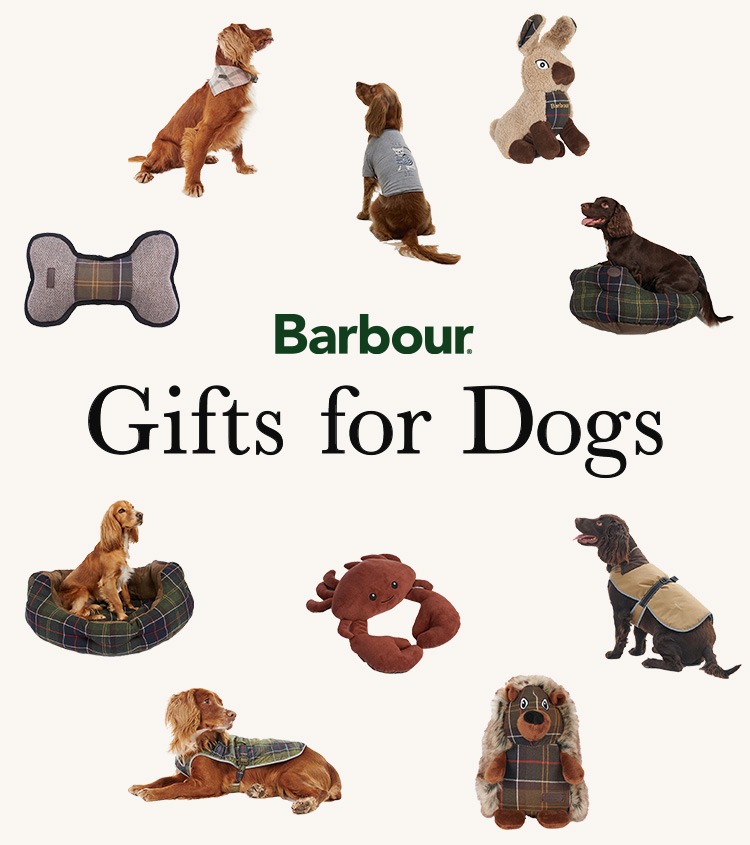 Barbour(バブアー)のニュース | 【Barbour】大切な愛犬にプレゼントしたいBarbourのドッグアイテムがUSAGI ONLINEに初登場！