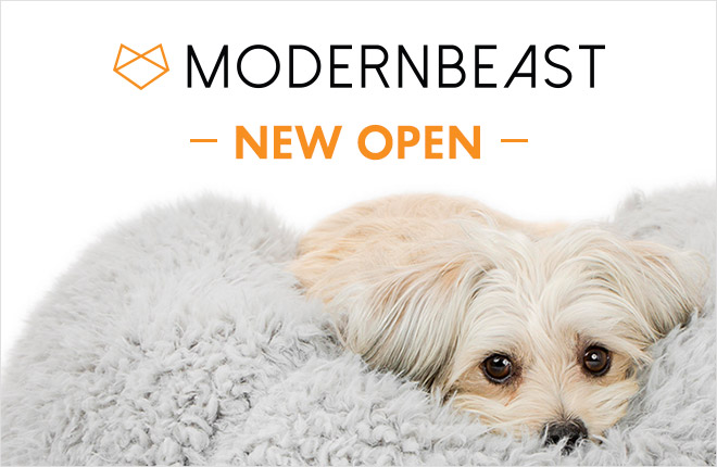 MODERNBEAST OPEN