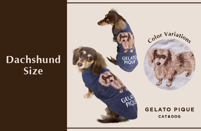 GELATO PIQUE CAT&DOG  Dachshund Size