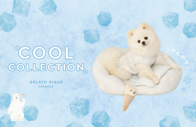 CAT&DOG COOL COLLECTION