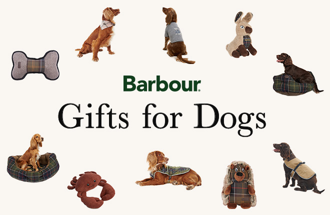 大切な愛犬にプレゼントしたいBarbourのドッグアイテムがUSAGI ONLINEに初登場！