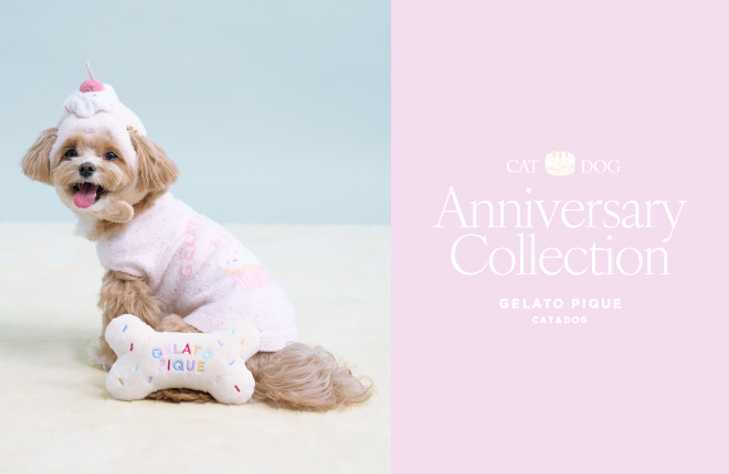 GELATO PIQUE CAT & DOG Anniversary Collection