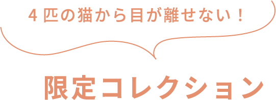 4匹の猫から目が離せない！ 限定コレクション