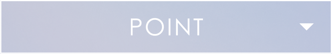 POINT