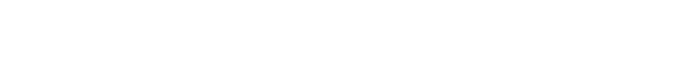                          MALPENSA                         