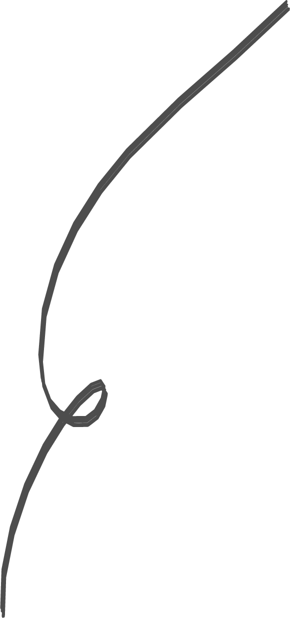 ribbon