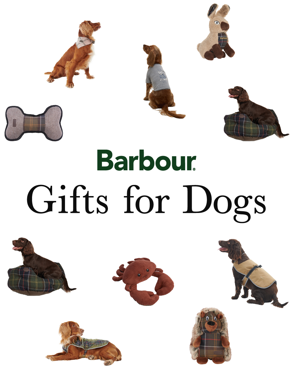 Barbour. Gifts for Dogs