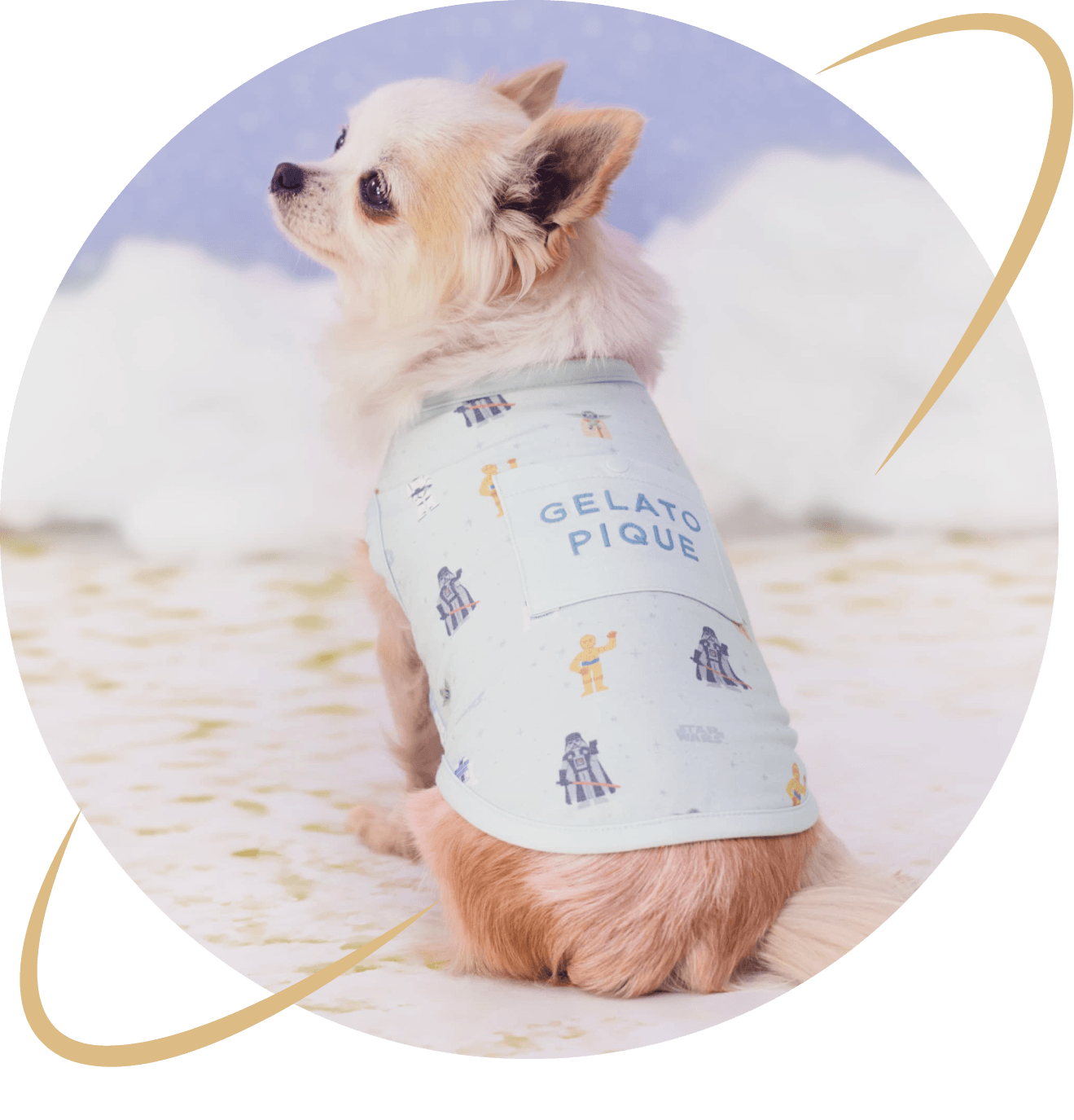 Dog wear 5,060yen