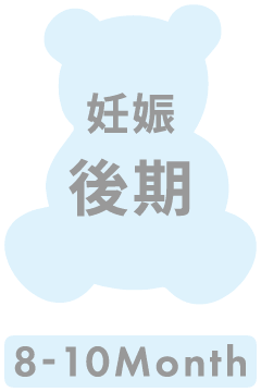 妊娠後期 8-10month