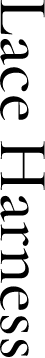 Text 04