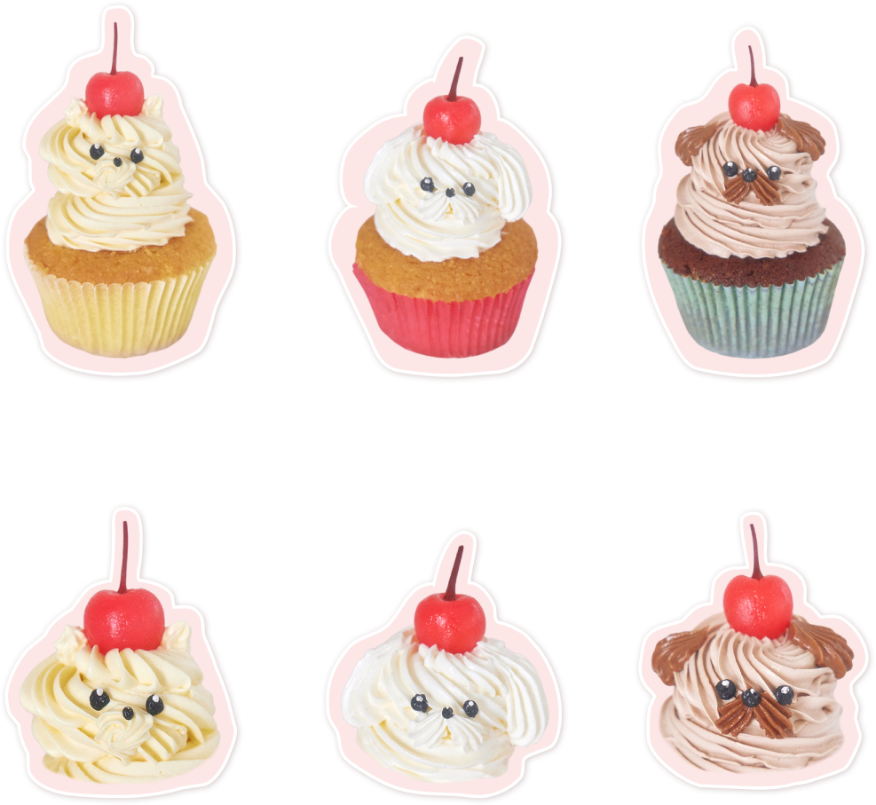 Pomeranian Maltese Pug のカップケーキ