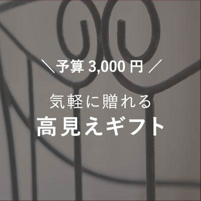 予算3,000円 気軽に贈れる高見えギフト 20選